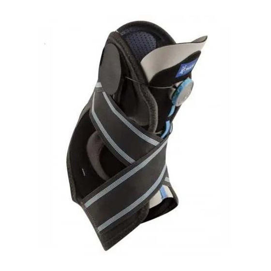 THUASNE CHEV MALLEODYNASTAB...