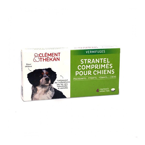 THEKAN STRANTEL CHIEN CP B/4