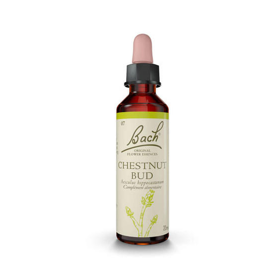 FLEURS DE BACH CHESTN BUD 20ML